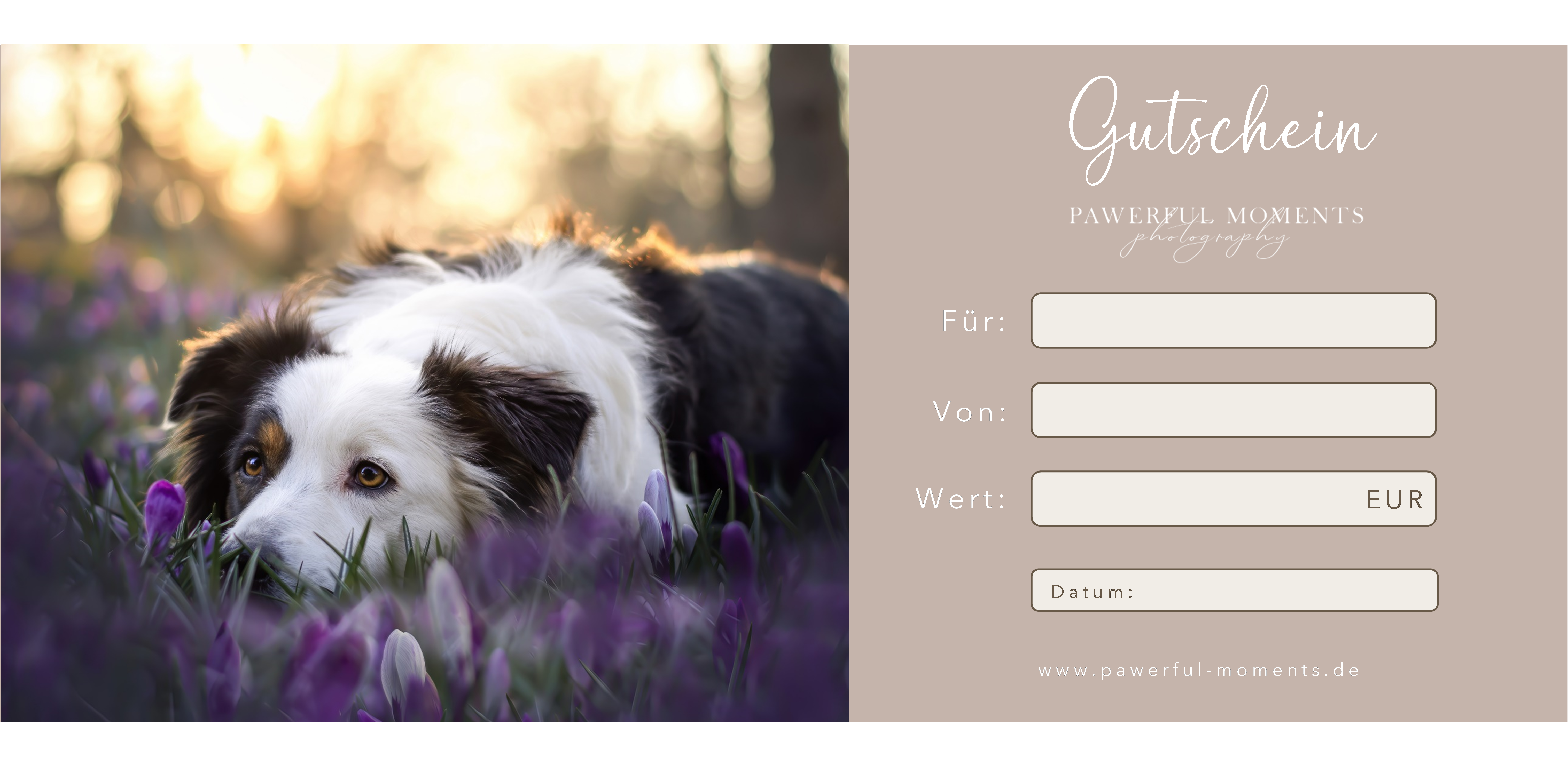 Geschenkgutschein für ein Fotoshooting mit Hund