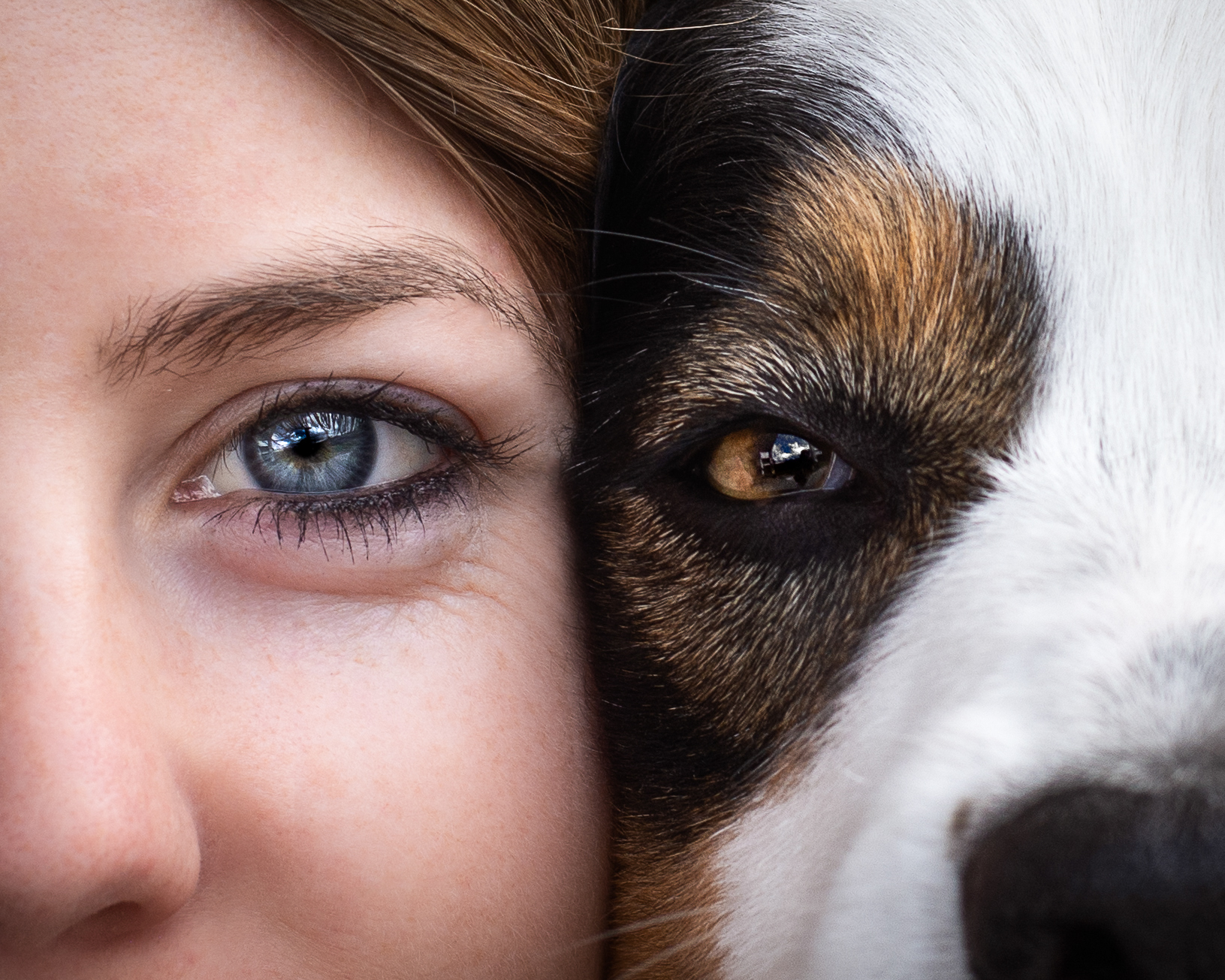 Eye to eye Foto
